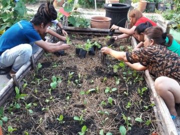 “อาสาสมัครสวนผักชุมชน” 30 ก.ย. Community gardening volunteer for urban-poor in Thailand Sep.30, 2018 ณ ชุมชนพูนทรัพย์ เขตสายไหม กทม. Poonsap Community, Bkk